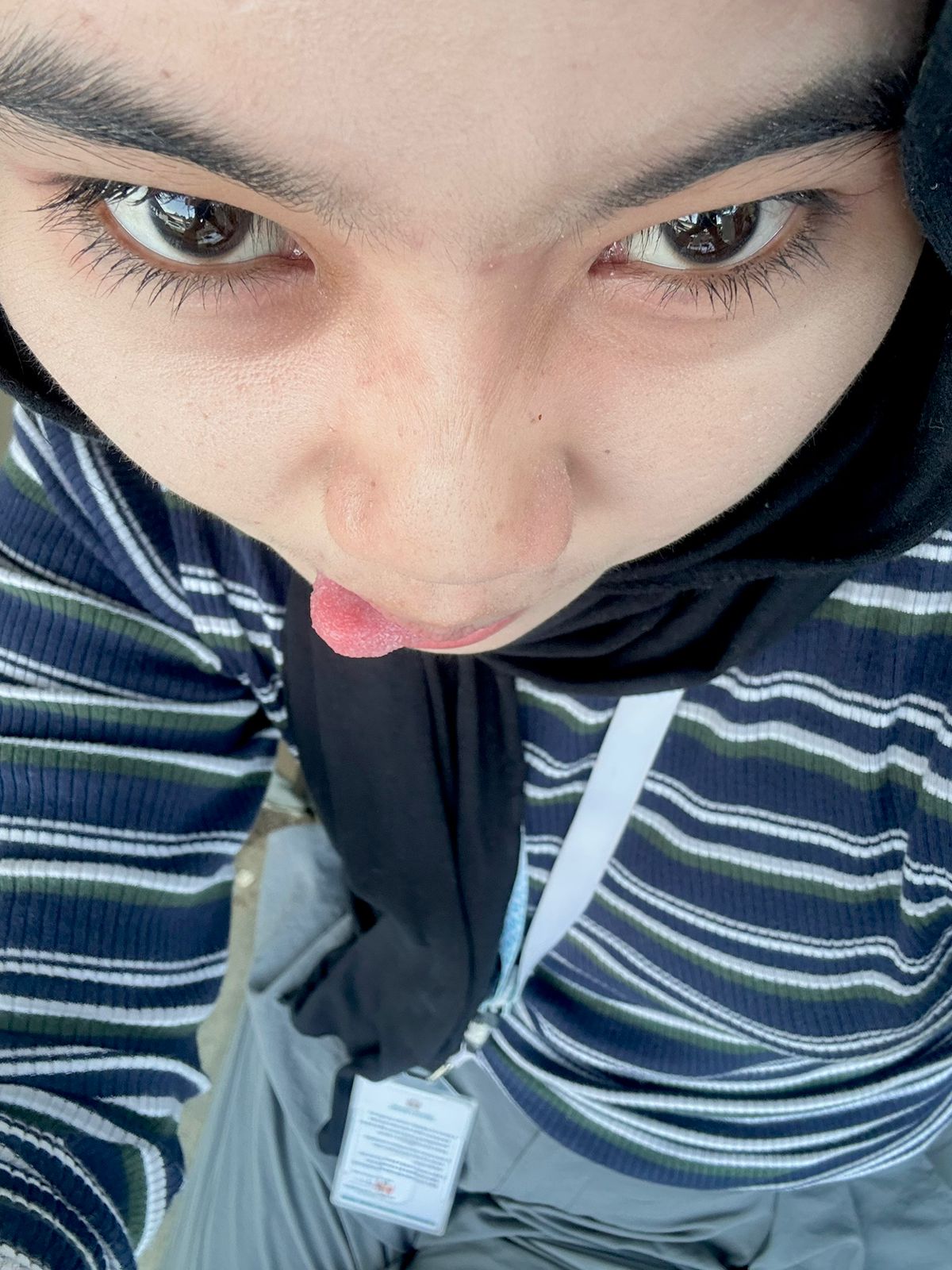 Gambar 1